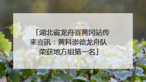 湖北省龙舟赛黄冈站传来喜讯：黄科崇德龙舟队荣获地方组第一名