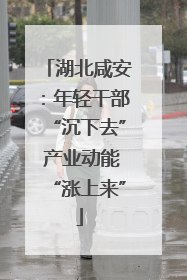 湖北咸安：年轻干部“沉下去” 产业动能“涨上来”