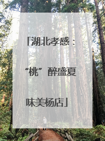 湖北孝感：“桃”醉盛夏 味美杨店