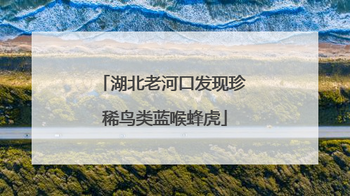 湖北老河口发现珍稀鸟类蓝喉蜂虎