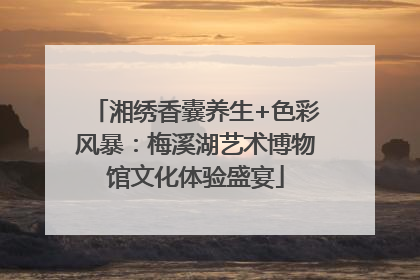 湘绣香囊养生+色彩风暴：梅溪湖艺术博物馆文化体验盛宴