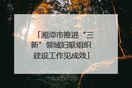 湘潭市推进“三新”领域妇联组织建设工作见成效