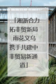 湘浙合力拓非贸新局 雨花义乌携手共建中非贸易新通道