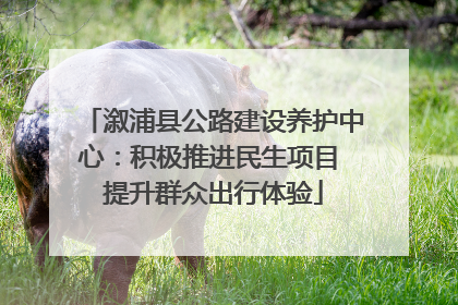 溆浦县公路建设养护中心：积极推进民生项目 提升群众出行体验