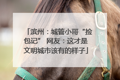 滨州：城管小哥“捡包记” 网友：这才是文明城市该有的样子
