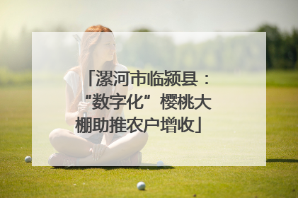 漯河市临颍县：“数字化”樱桃大棚助推农户增收