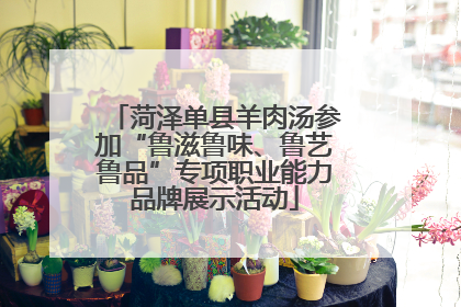 菏泽单县羊肉汤参加“鲁滋鲁味、鲁艺鲁品”专项职业能力品牌展示活动