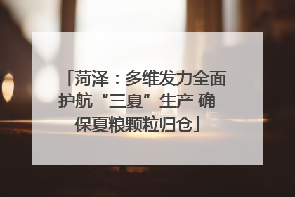 菏泽：多维发力全面护航“三夏”生产 确保夏粮颗粒归仓