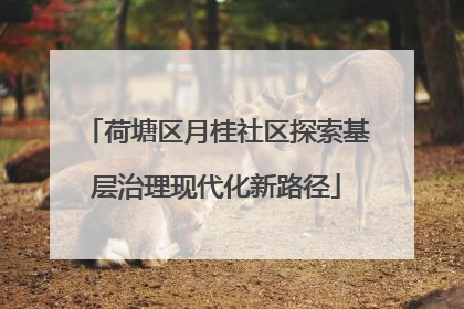 荷塘区月桂社区探索基层治理现代化新路径