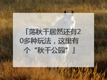 荡秋千居然还有20多种玩法，这里有个“秋千公园”