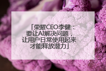 荣耀CEO李健：要让AI解决问题，让用户日常使用起来才能释放潜力