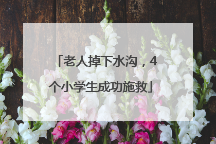 老人掉下水沟，4个小学生成功施救