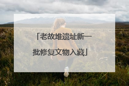 老故堆遗址新一批修复文物入藏