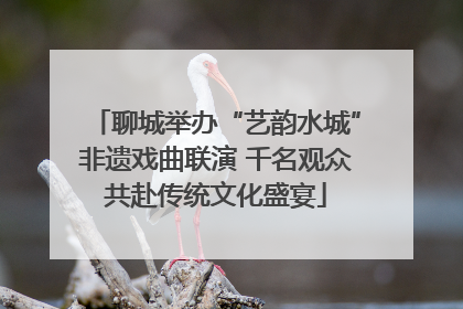 聊城举办“艺韵水城”非遗戏曲联演 千名观众共赴传统文化盛宴