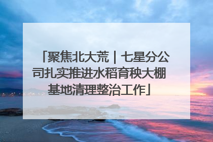 聚焦北大荒｜七星分公司扎实推进水稻育秧大棚基地清理整治工作