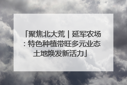 聚焦北大荒｜延军农场：特色种植带旺多元业态 土地焕发新活力