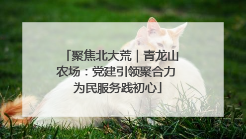 聚焦北大荒｜青龙山农场：党建引领聚合力 为民服务践初心
