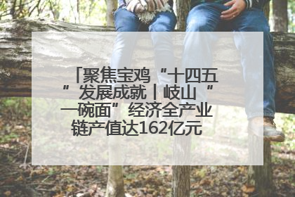 聚焦宝鸡“十四五”发展成就丨岐山“一碗面”经济全产业链产值达162亿元 入选全国典型县