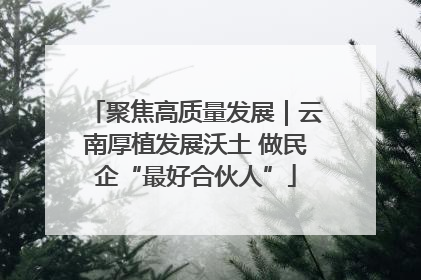 聚焦高质量发展｜云南厚植发展沃土 做民企“最好合伙人”