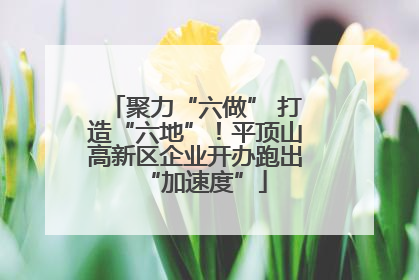 聚力“六做” 打造“六地”！平顶山高新区企业开办跑出“加速度”