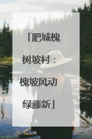 肥城槐树坡村：槐坡风动绿藤新