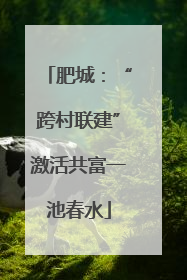 肥城：“跨村联建”激活共富一池春水
