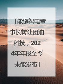 能链智电董事长转让团油科技，2024年年报至今未能发布