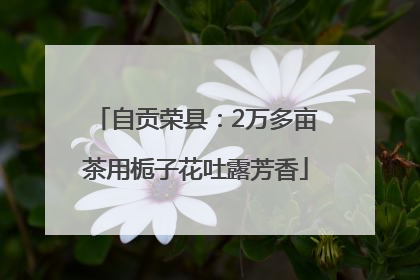 自贡荣县：2万多亩茶用栀子花吐露芳香