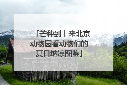 芒种到丨来北京动物园看动物们的夏日纳凉图鉴