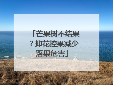 芒果树不结果？抑花控果减少落果危害