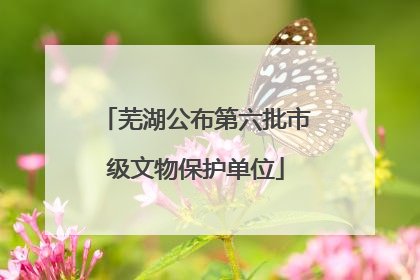 芜湖公布第六批市级文物保护单位