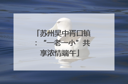 苏州吴中胥口镇：“一老一小”共享浓情端午