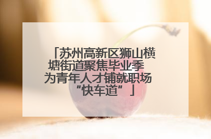 苏州高新区狮山横塘街道聚焦毕业季 为青年人才铺就职场“快车道”
