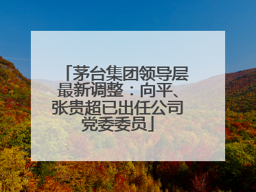 茅台集团领导层最新调整：向平、张贵超已出任公司党委委员