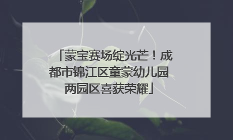 蒙宝赛场绽光芒！成都市锦江区童蒙幼儿园两园区喜获荣耀