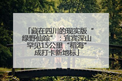 藏在四川的现实版“绿野仙踪”：宜宾深山罕见15公里“稻海”成打卡新地标