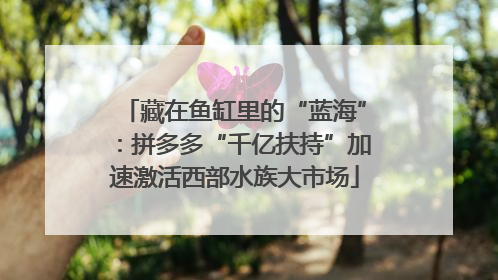 藏在鱼缸里的“蓝海”：拼多多“千亿扶持”加速激活西部水族大市场