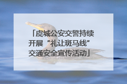 虞城公安交警持续开展“礼让斑马线”交通安全宣传活动
