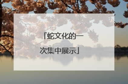 蛇文化的一次集中展示