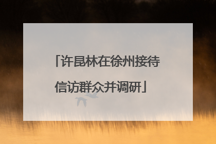 许昆林在徐州接待信访群众并调研