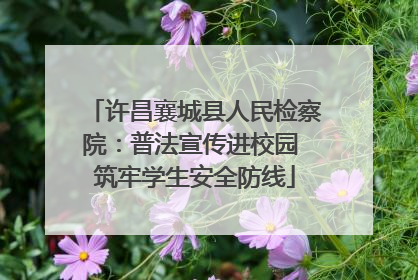 许昌襄城县人民检察院：普法宣传进校园 筑牢学生安全防线