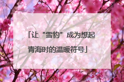 让“雪豹”成为想起青海时的温暖符号