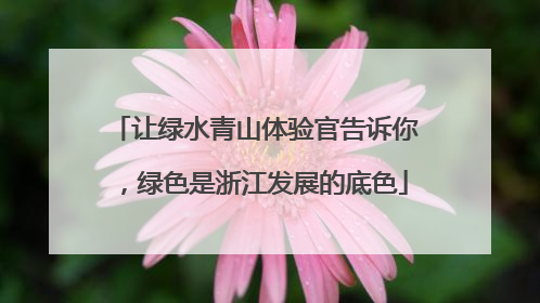 让绿水青山体验官告诉你，绿色是浙江发展的底色