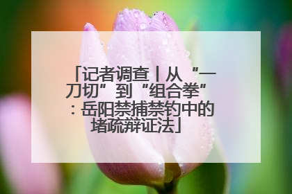 记者调查丨从“一刀切”到“组合拳”：岳阳禁捕禁钓中的堵疏辩证法