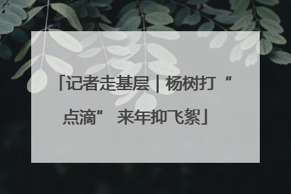 记者走基层｜杨树打“点滴” 来年抑飞絮