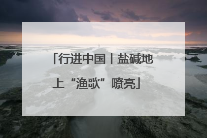 行进中国丨盐碱地上“渔歌”嘹亮