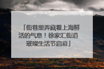 街巷里弄藏着上海鲜活的气息！徐家汇街道璀璨生活节启幕