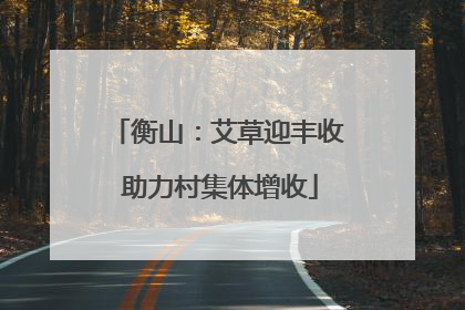 衡山：艾草迎丰收 助力村集体增收
