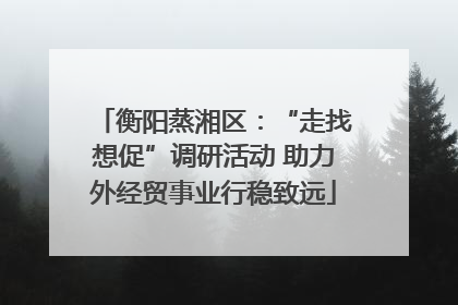 衡阳蒸湘区：“走找想促”调研活动 助力外经贸事业行稳致远