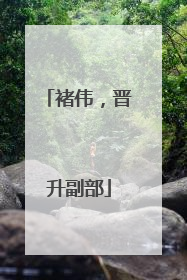 褚伟，晋升副部